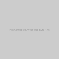 Image of Rat Cathepsin Antibodies ELISA kit